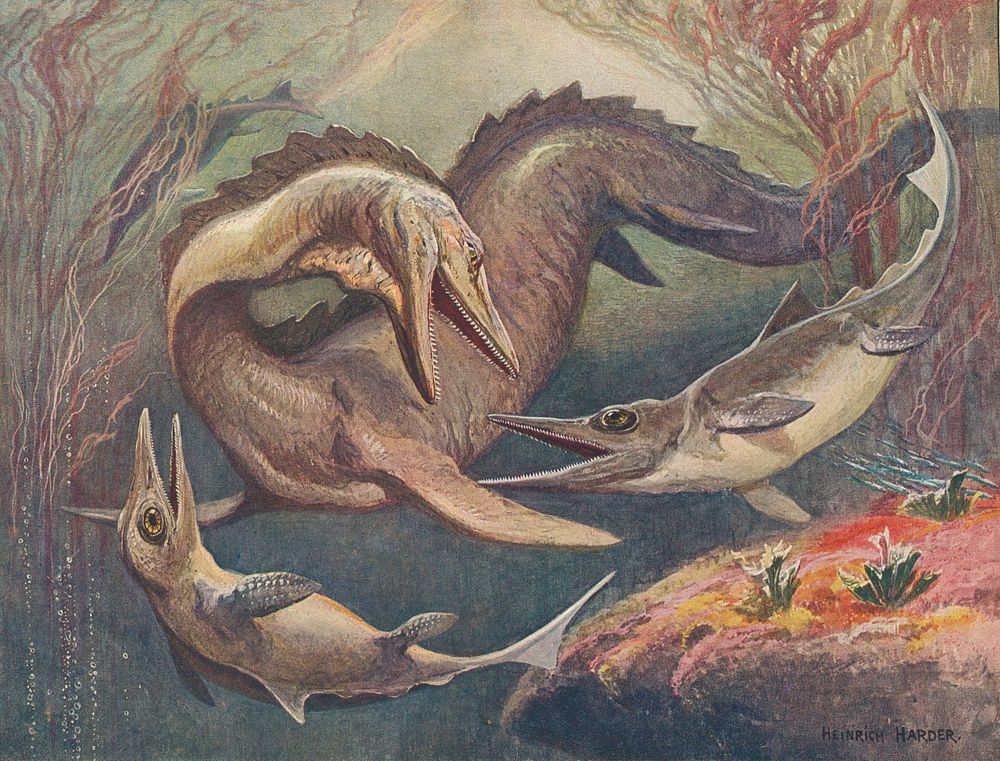 Mosasaurus and Ichthyosaurs. Illustration for Die Wunder der Urwelt (1912) LARGE VERSION