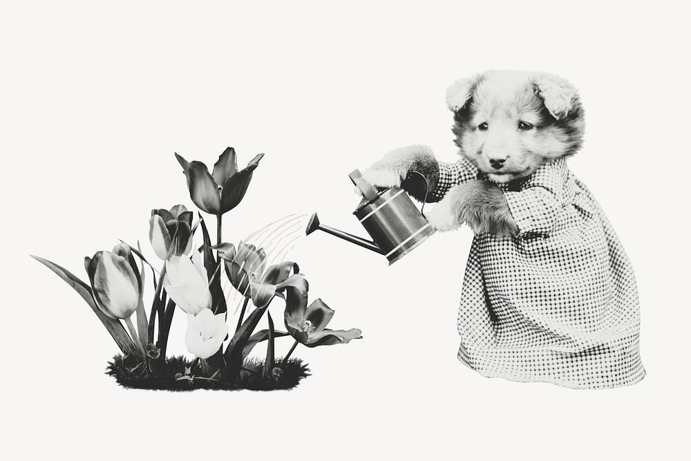 Dog watering tulips, black & white illustration psd