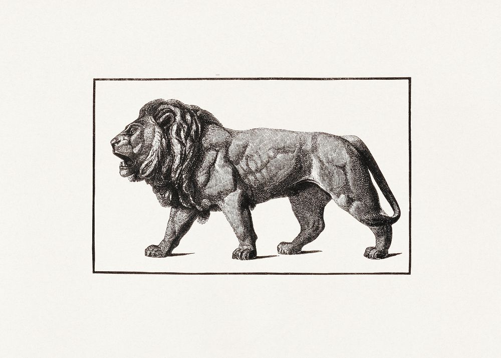 Lion (1870) by Elbridge Kingsley. Original from the Library of Congress. Digitally enhanced by rawpixel.