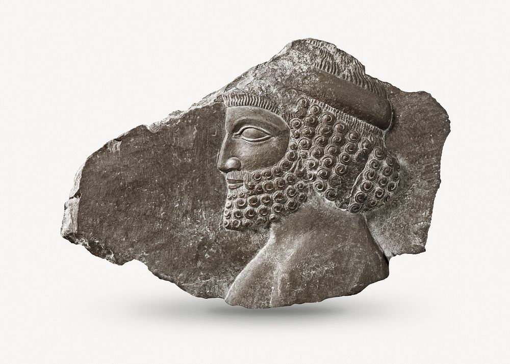 Relief-carved fragment from Persepolis psd