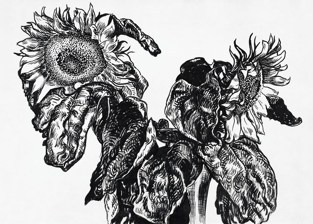 Sunflowers (1892) drawing in high resolution by Georges Lemmen. Original from The National Galley of Art. Digitally enhanced…