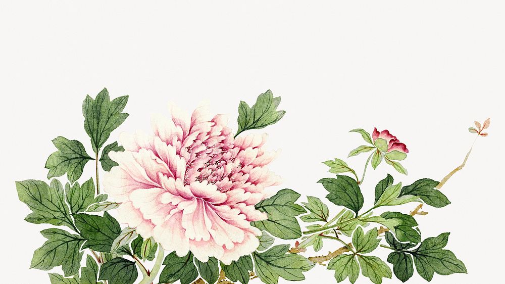 Pink peony desktop wallpaper, vintage flower illustration