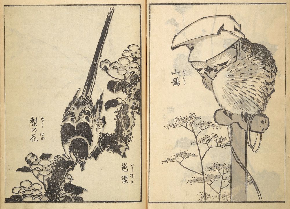 Old Manji&rsquo;s Cursive Picture Album (1843) by Katsushika Hokusai (1760&ndash;1849). Original from The MET Museum. 