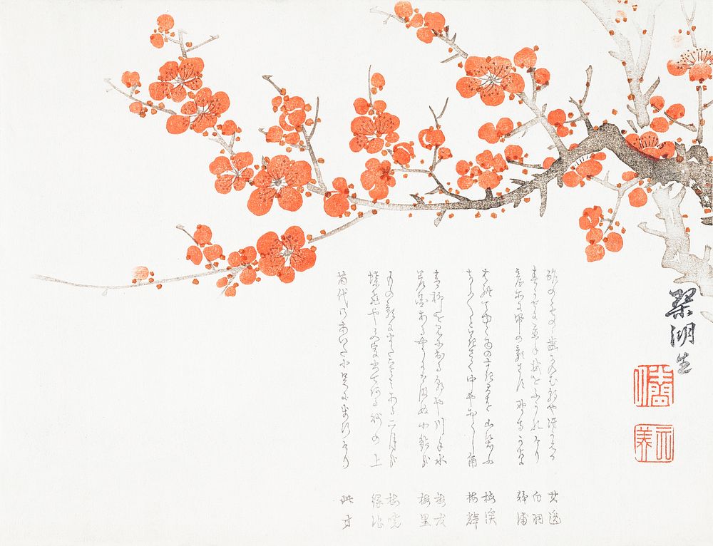 Japanese plum blossom (1860) vintage woodblock print by Saikoshō. Original public domain image from the Minneapolis…