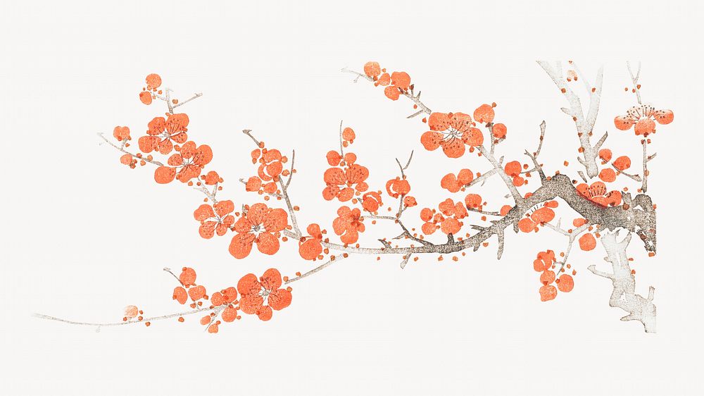 Japanese plum blossom desktop wallpaper.  Remastered by rawpixel. 