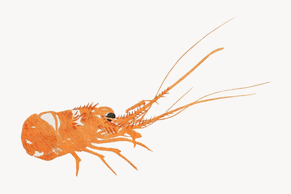 Japanese orange lobster. Remastered by rawpixel. 