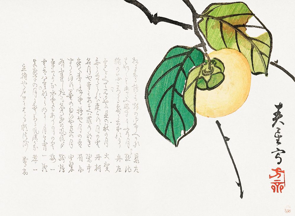 Persimmon (1854-1859) by Shunsei. Original public domain image from The Minneapolis Institute of Art.   Digitally enhanced…