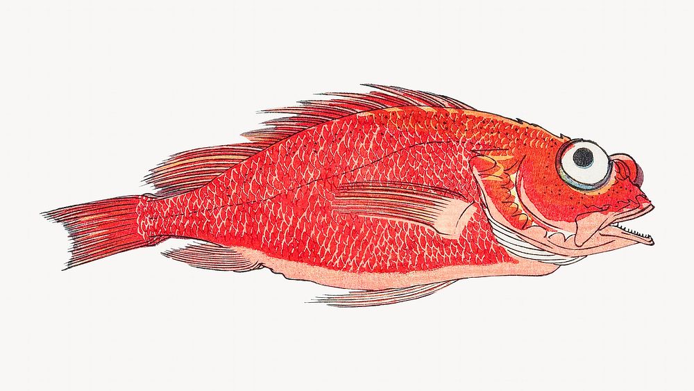 Red snapper fish desktop wallpaper, vintage Japanese illustration.   Remastered by rawpixel. 