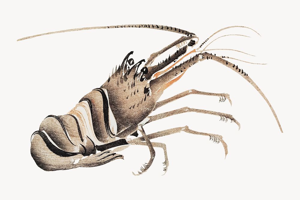 Japanese crayfish.   Remastered by rawpixel. 