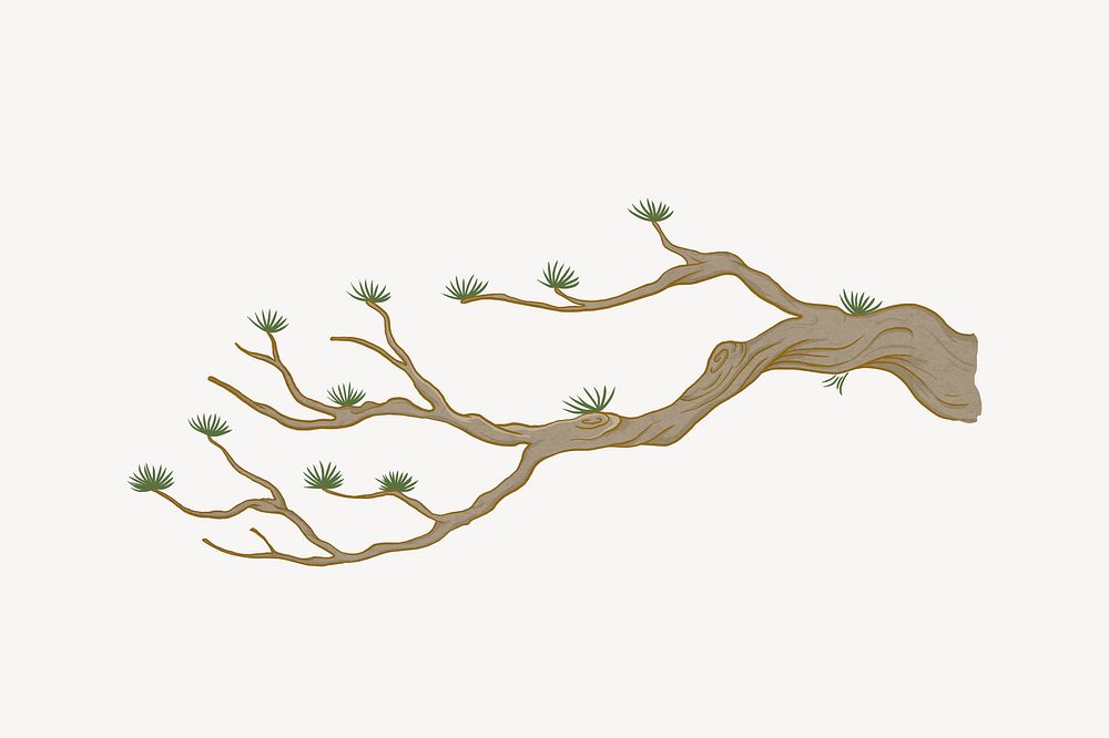 Tree branch, botanical illustration psd