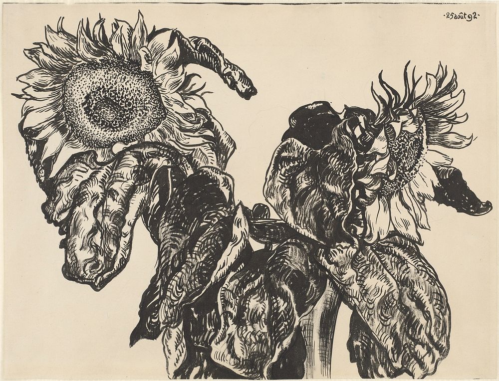Sunflowers (1892) drawing in high resolution by Georges Lemmen. Original from The National Galley of Art.