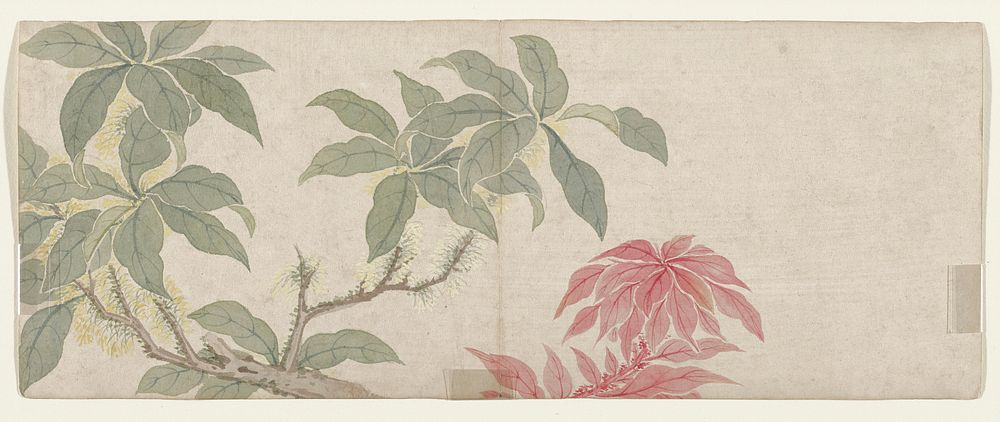 Flower Painting during late 18th century painting in high resolution by Mianyi. Original from the Minneapolis Institute of…