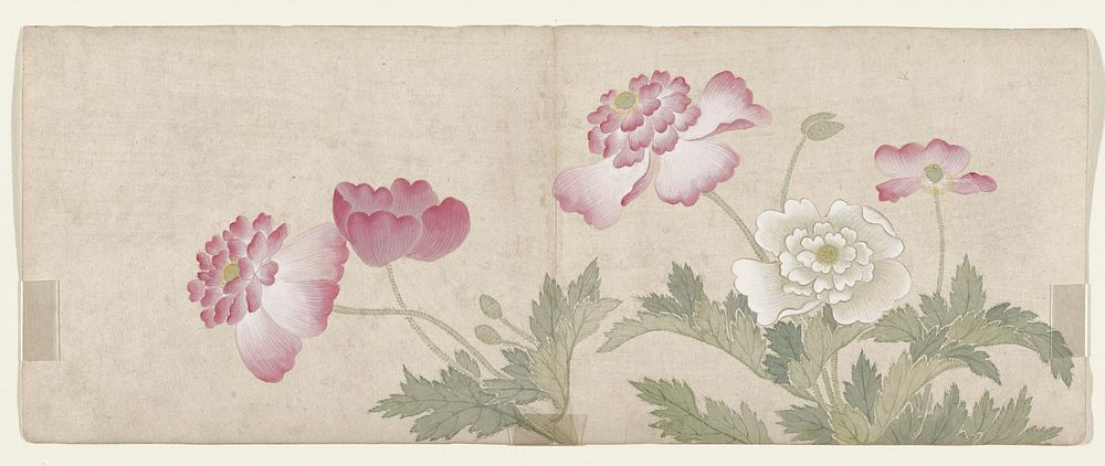 Flower Painting during late 18th century painting in high resolution by Mianyi. Original from the Minneapolis Institute of…