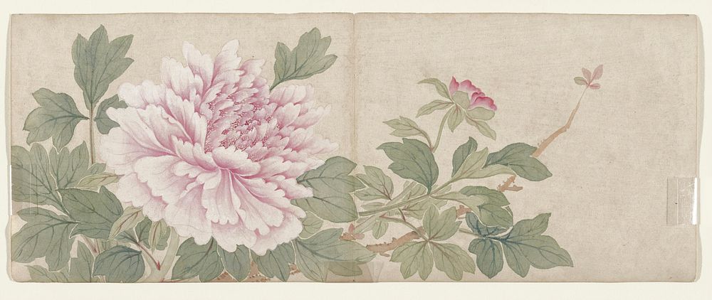Flower Painting during late 18th century painting in high resolution by Mianyi. Original from the Minneapolis Institute of…