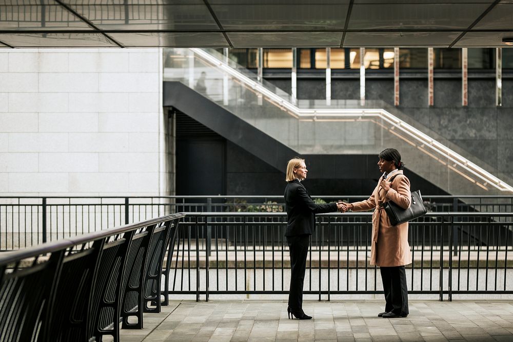 Businesswomen shaking hands, business networking 