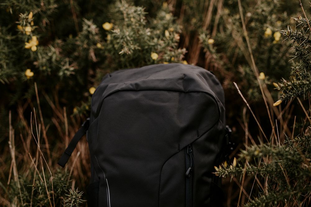 Black backpack on forest ground photo