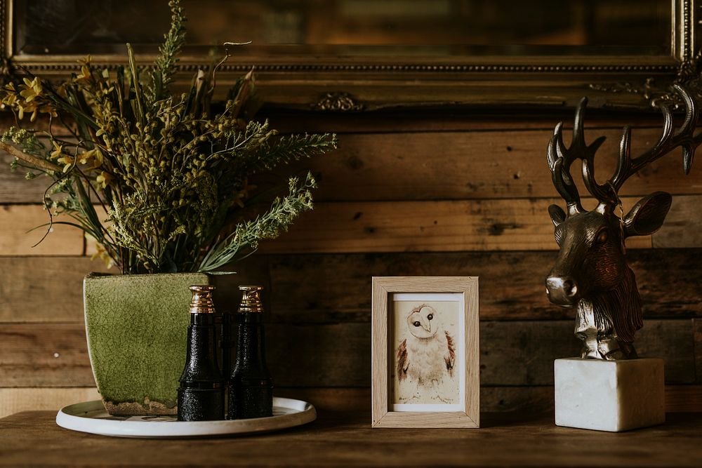 Aesthetic houseplant, framed owl picture home decor