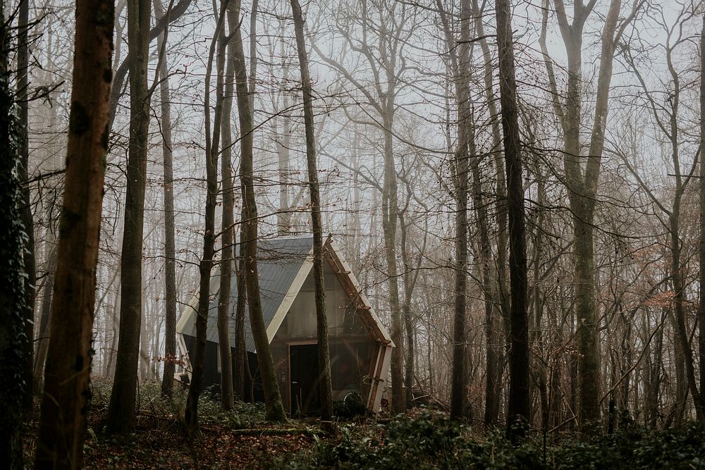 Abandoned hut in a forest