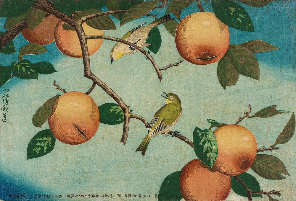 Persimmons and White-Eyes. Original from The Los Angeles County Museum of Art.