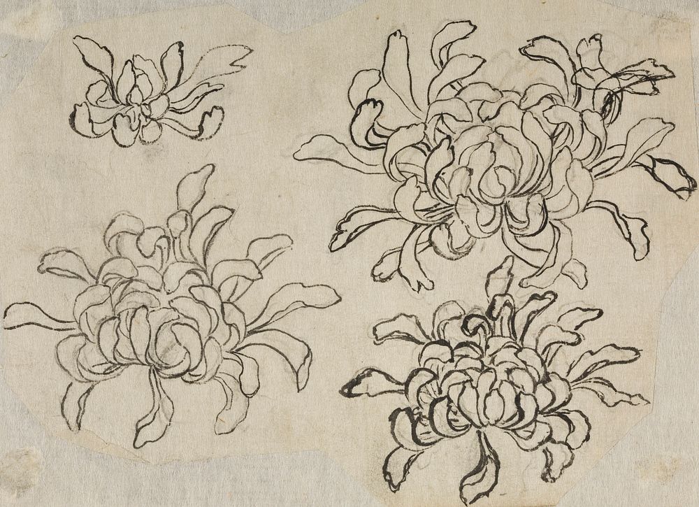 Hokusai's flower sketch. Original from The Los Angeles County Museum of Art.