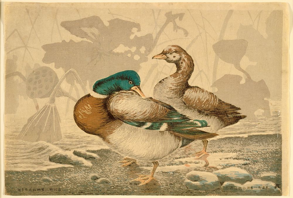 Ducks and Withered Lotus. Original from The Los Angeles County Museum of Art.