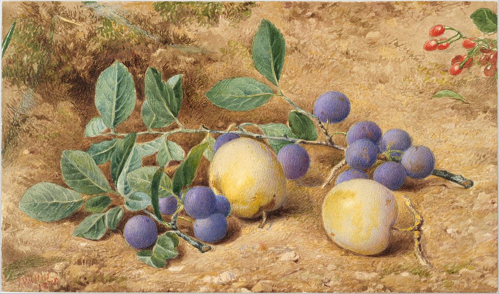 Plums by John William Hill