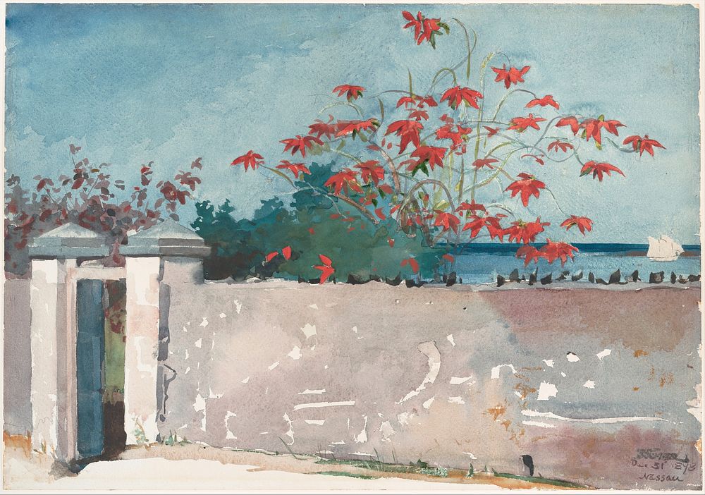A Wall, Nassau by Winslow Homer