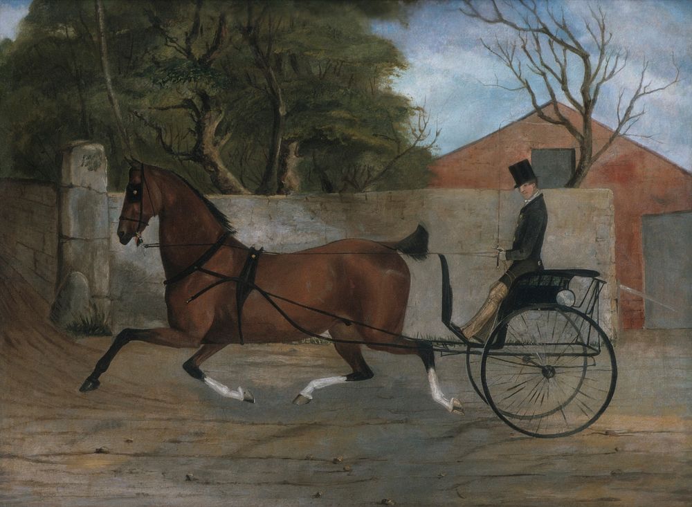 Portrait of a Gentleman in a Carriage, American