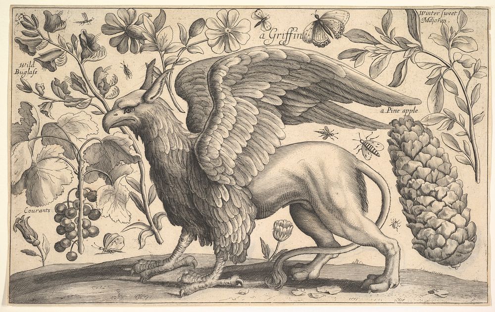 A Griffin, after Wenceslaus Hollar (Bohemian, Prague 1607&ndash;1677 London)