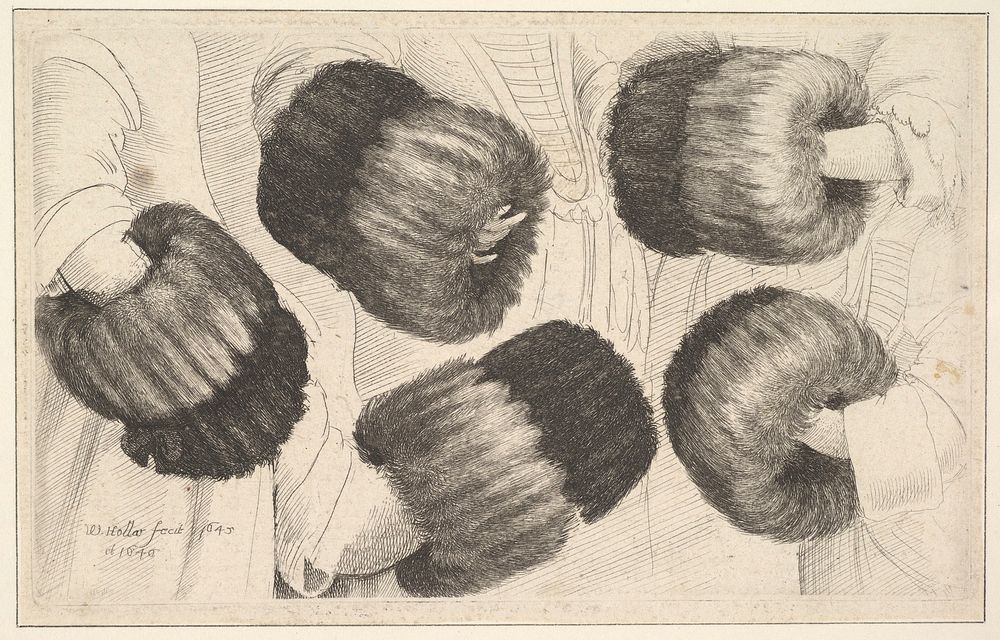 A Muff in Five Views by Wenceslaus Hollar