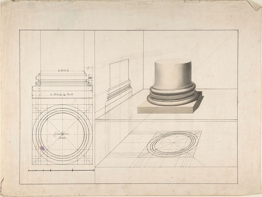 Projections of Columns