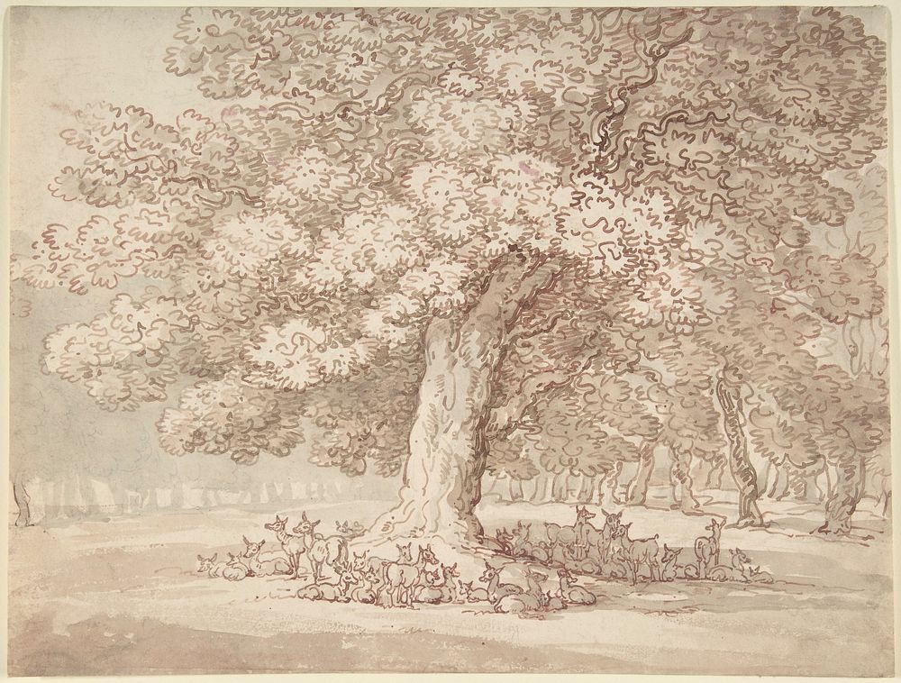 Herd of deer under an oak tree  by Thomas Rowlandson