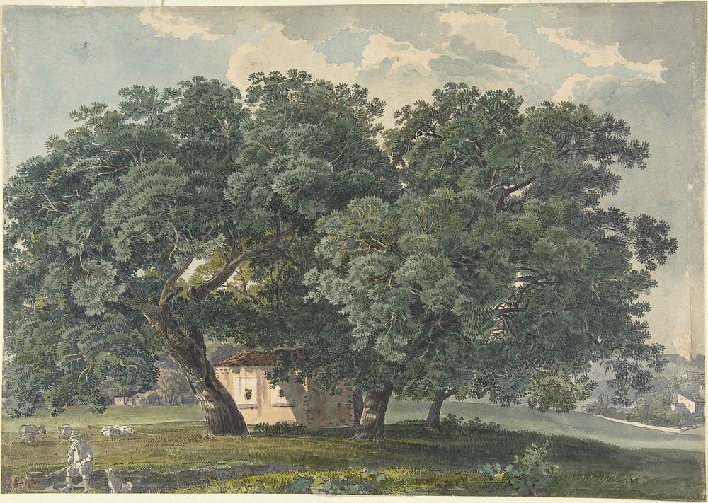 Italian Landscape with Trees (recto) by Friedrich Salath&eacute; (Swiss, Binningen 1793&ndash;1860 Paris)