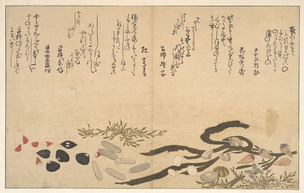 Shells under Water by Utamaro Kitagawa (1754–1806)