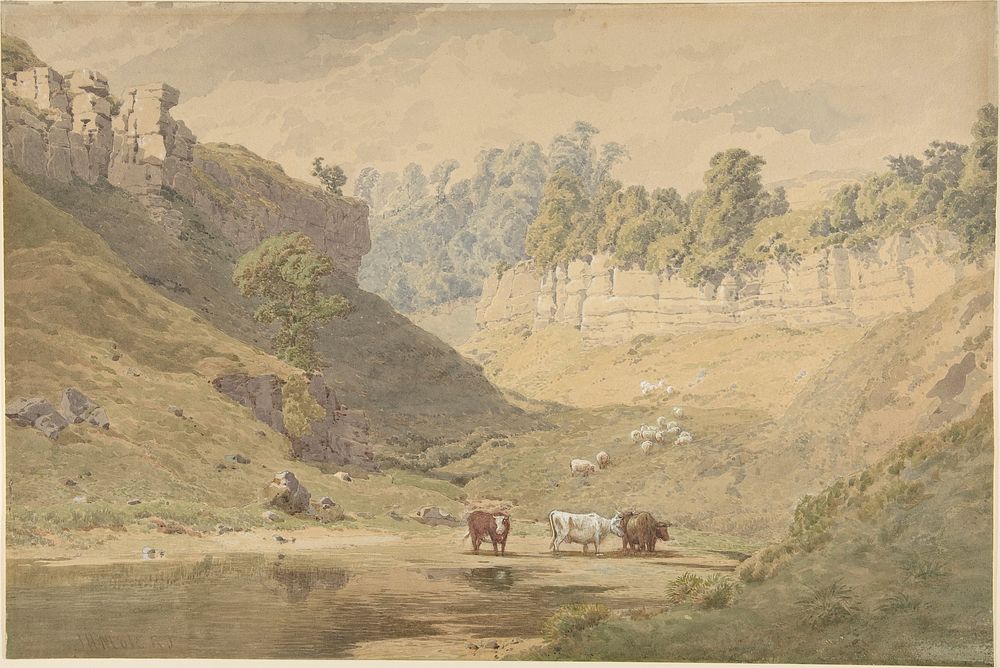 Cattle at a Watering Hole in a Valley 