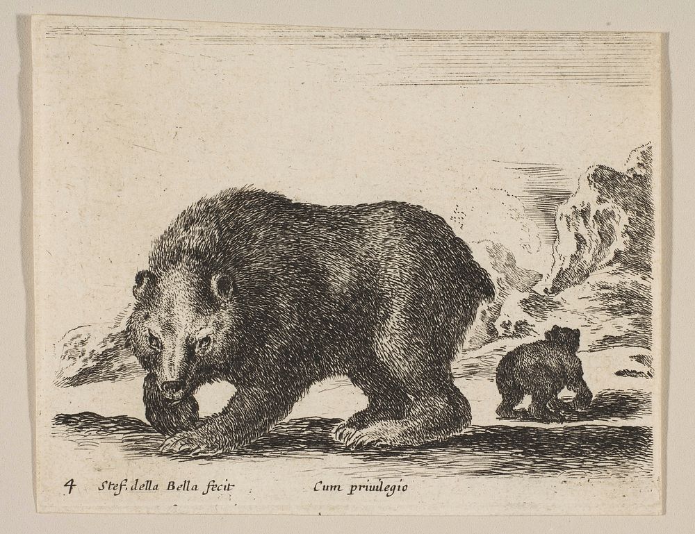 Plate 4: bear, from 'Various animals' (Diversi animali)