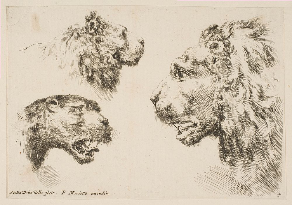Heads of Three Lions