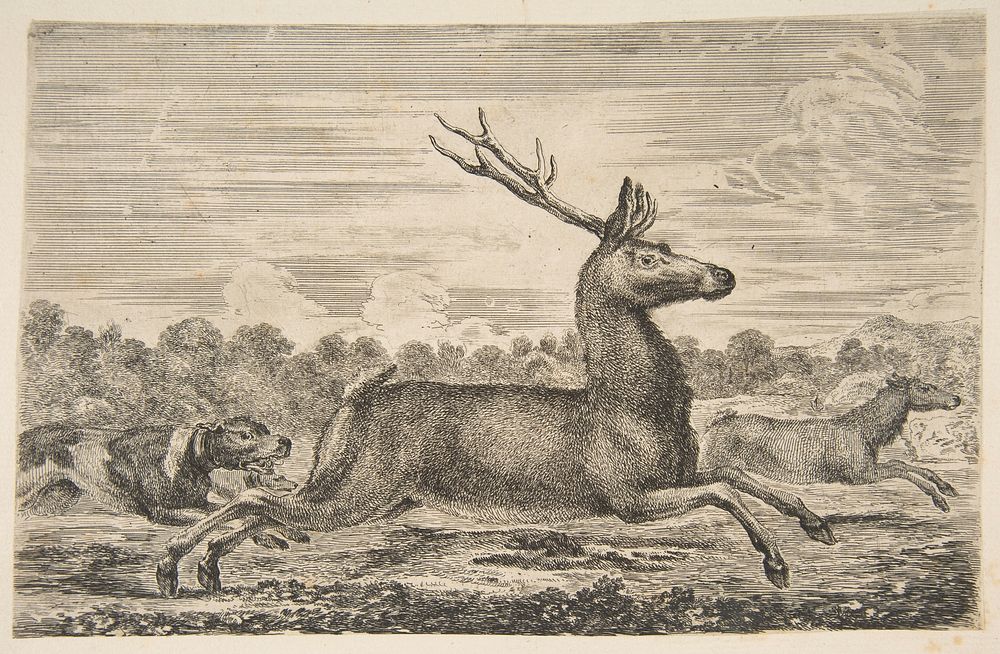 Hounds Chasing a Stag and a Doe