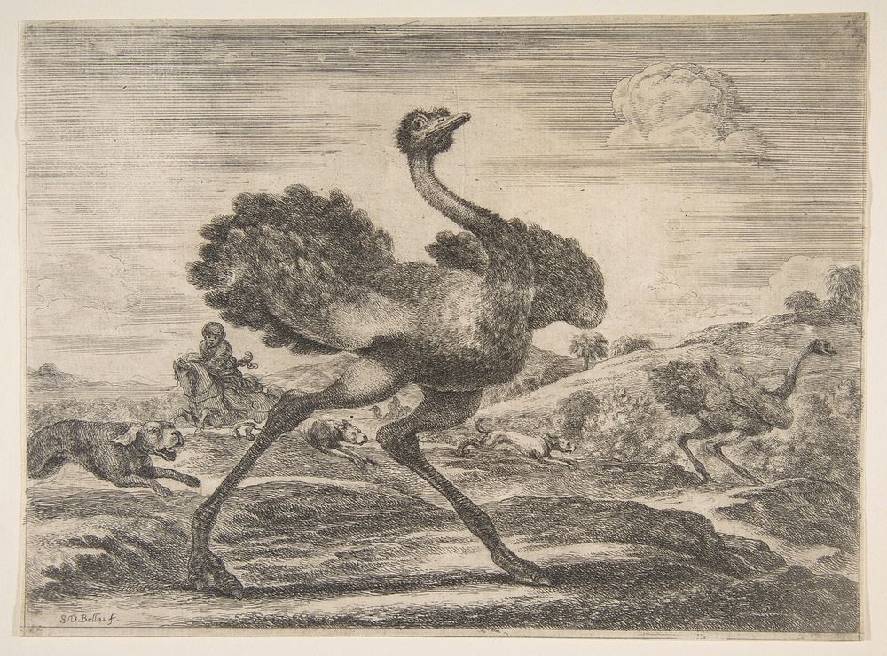Ostrich hunt, from 'Animal hunts' (Chasses à différents animaux)