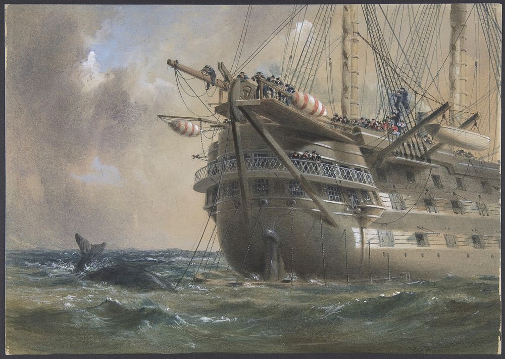 H.M.S. Agamemnon Laying the Atlantic Telegraph Cable in 1858: a Whale Crosses the Line by Robert Charles Dudley