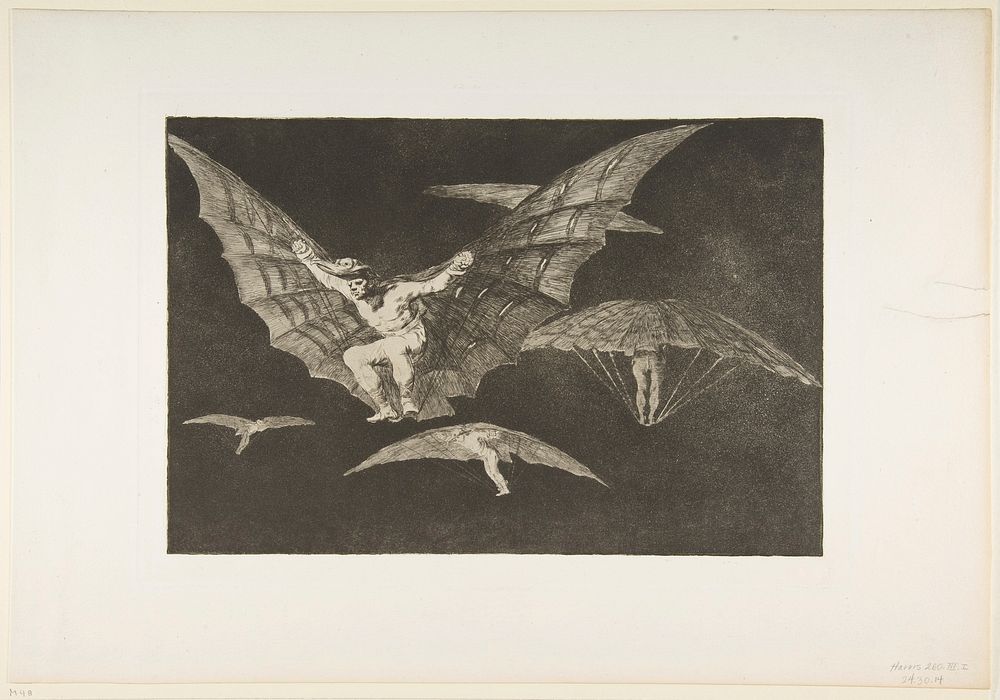 'A Way of Flying' from the 'Disparates' (Follies / Irrationalities)
