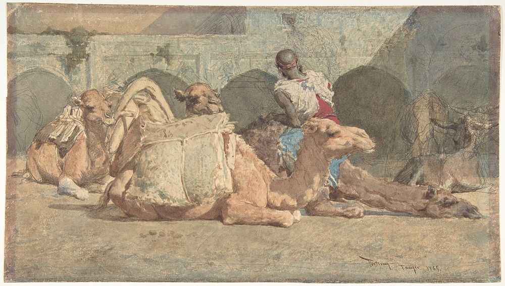 Camels Reposing, Tangiers by Mariano Fortuny Marsal