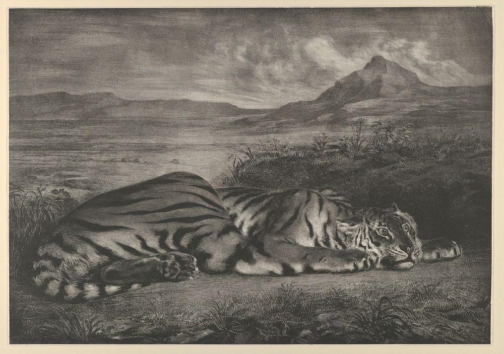 Royal Tiger by Eug&egrave;ne Delacroix