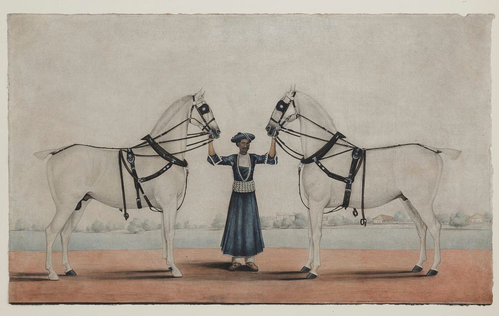 A Syce (Groom) Holding Two Carriage Horses attributed to Shaikh Muhammad Amir of Karraya
