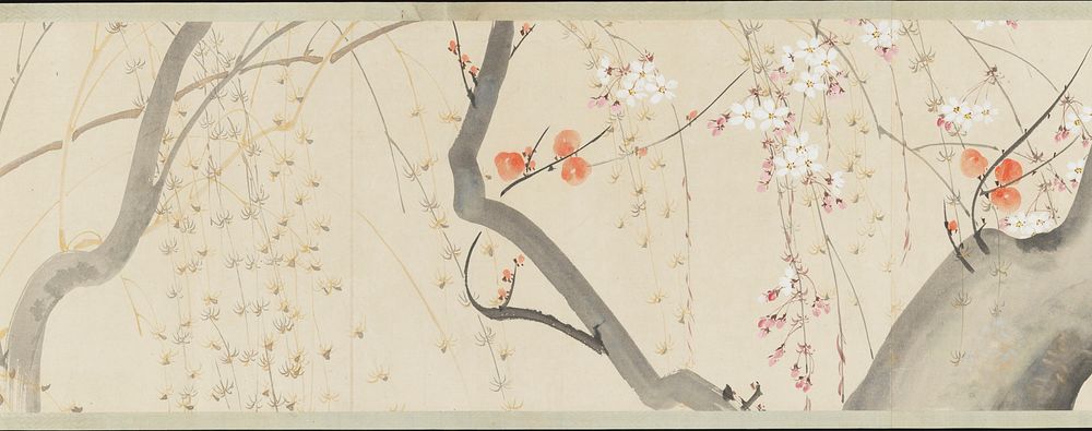 Flowers of the Four Seasons  after Sakai Hōitsu