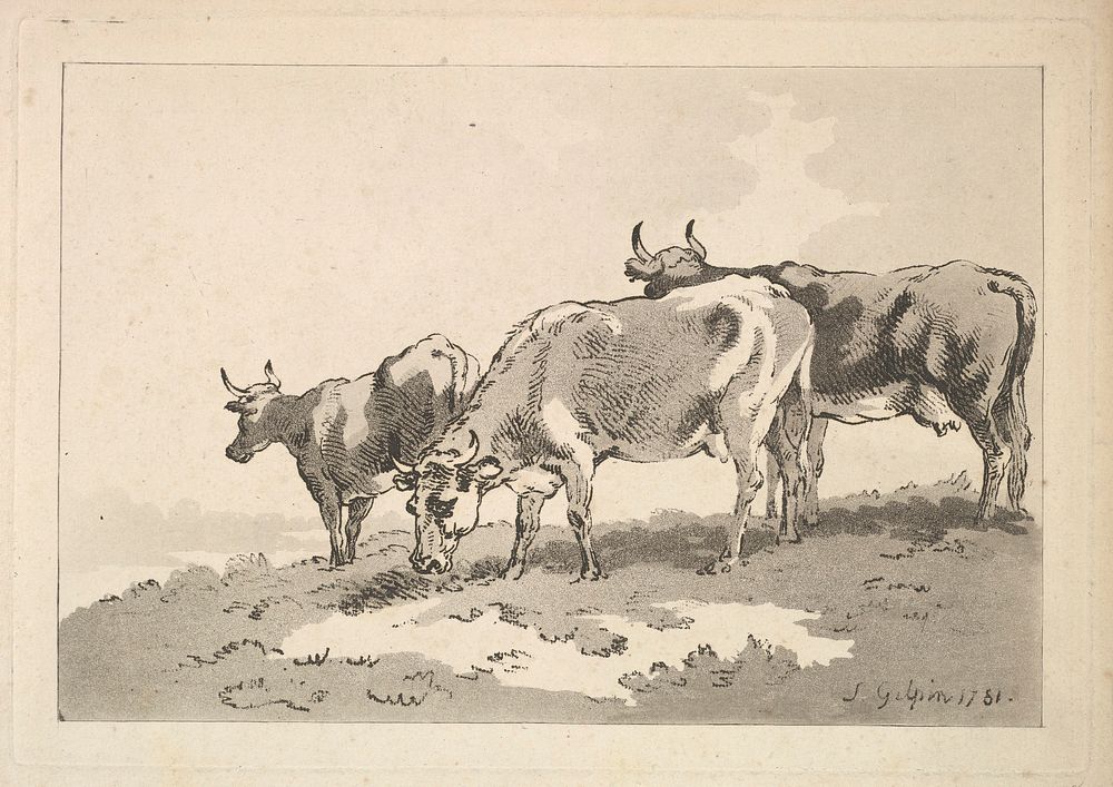 Three Cows Standing on the Ridge of a Field by Thomas Rowlandson (etcher)