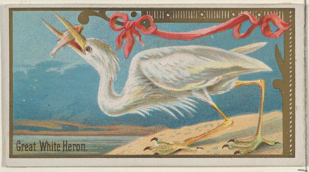 Great White Heron, from the Game Birds series (N13) for Allen & Ginter Cigarettes Brands, issued by Allen & Ginter