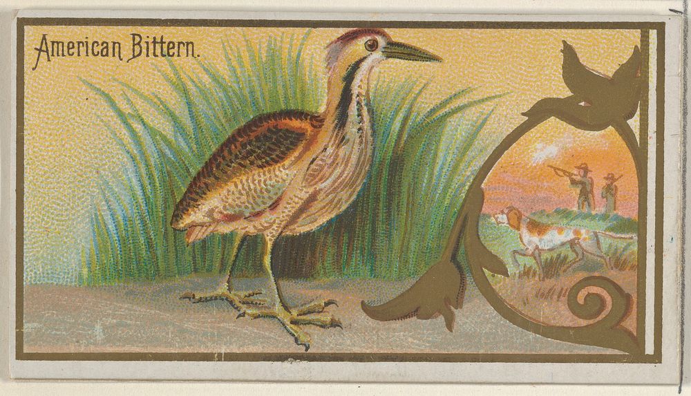 American Bittern, from the Game Birds series (N13) for Allen & Ginter Cigarettes Brands issued by Allen & Ginter, George S.…