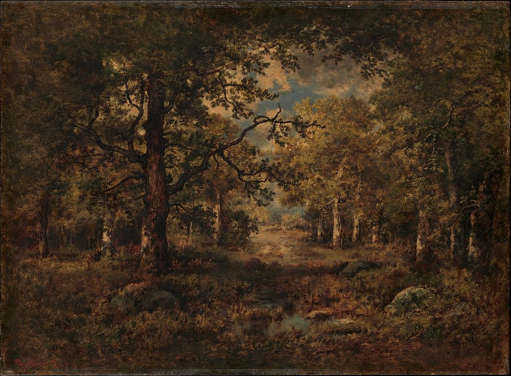 A Vista through Trees: Fontainebleau