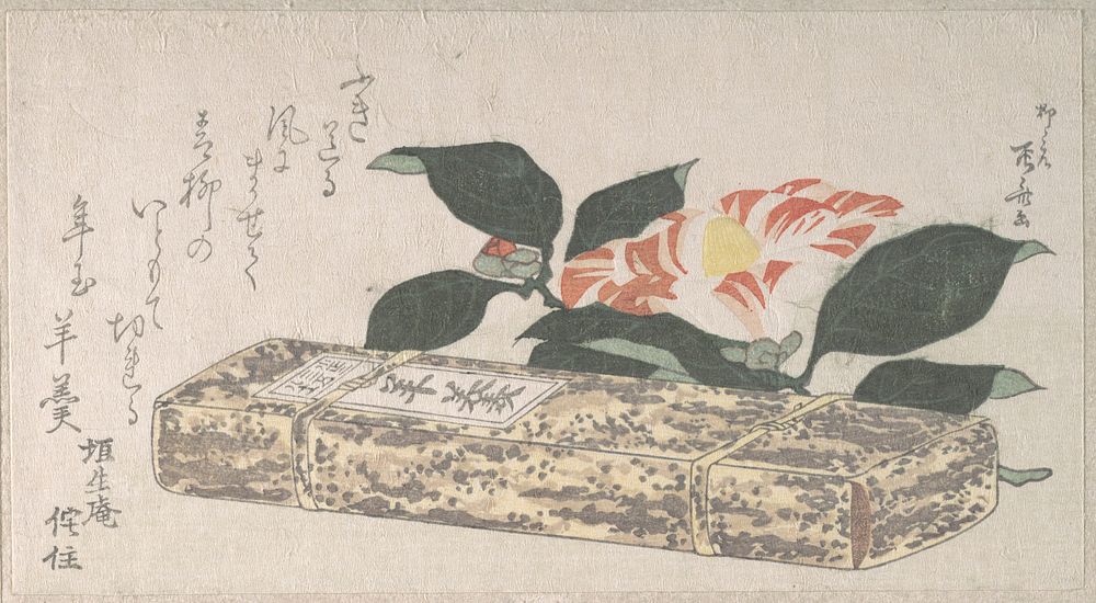 Camellia Flower and Yokan (a sort of bean jelly) Wrapped in Bamboo Skin by Ryūryūkyo Shinsai